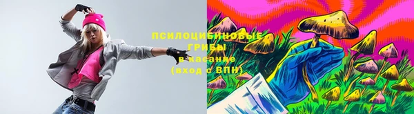 MDMA Premium VHQ Бронницы