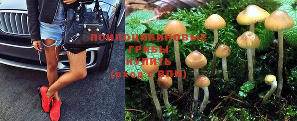 первитин Богородск