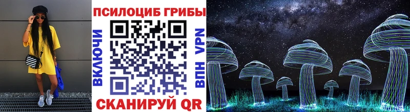Галлюциногенные грибы Psilocybe  Новый Оскол 